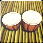 Bongo Drums HD手游